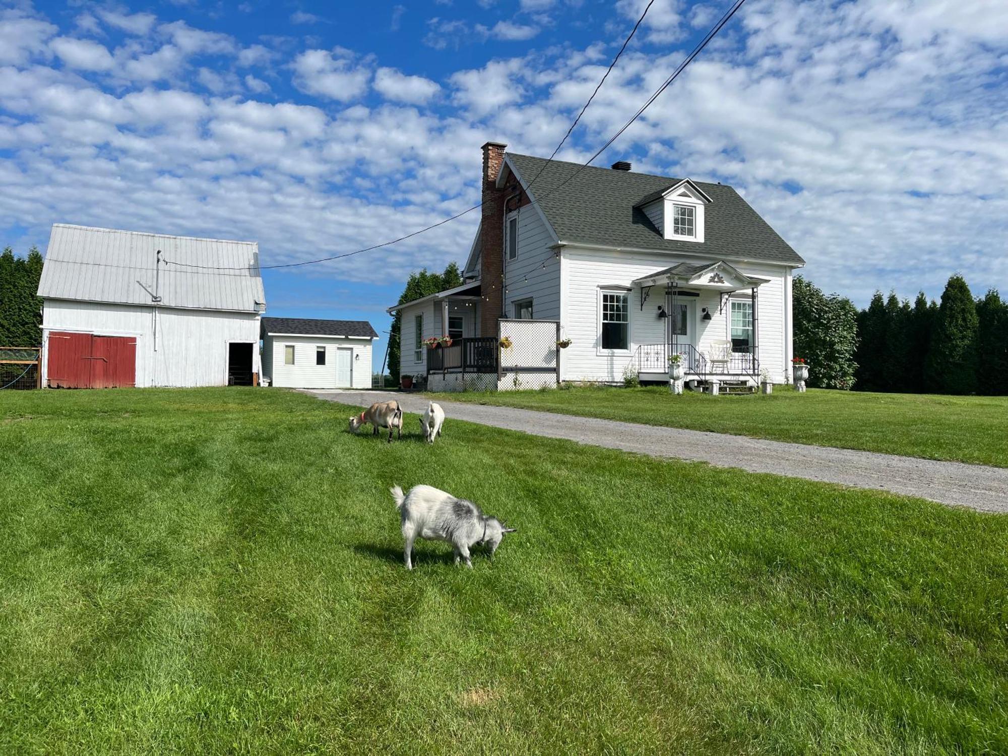 Apartamento La Ruee Vers L'Orge Trois-Rivières Exterior foto